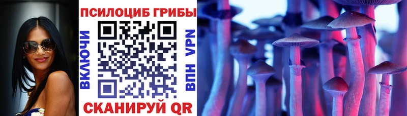 магазин продажи   Нальчик  Галлюциногенные грибы Psilocybe 