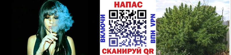 darknet клад  Нальчик  Бошки марихуана индика  купить закладку 